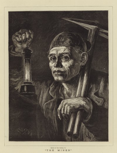 Baník od Matthew White Ridley